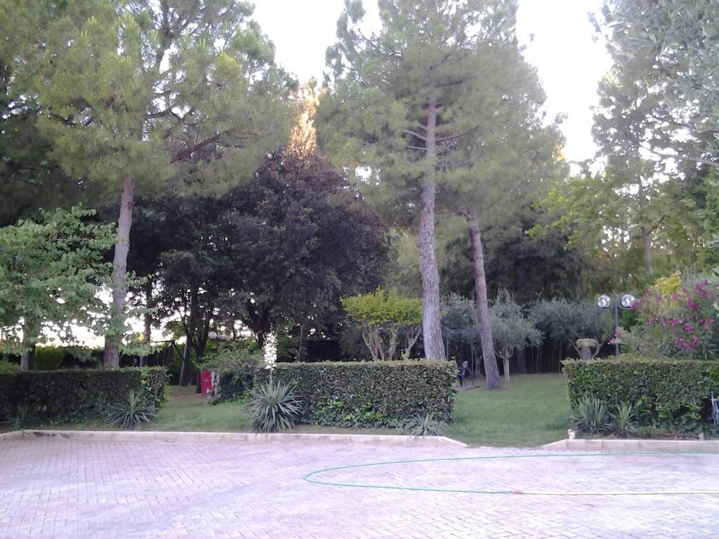Il Giardino Dei Limoni Montecassiano