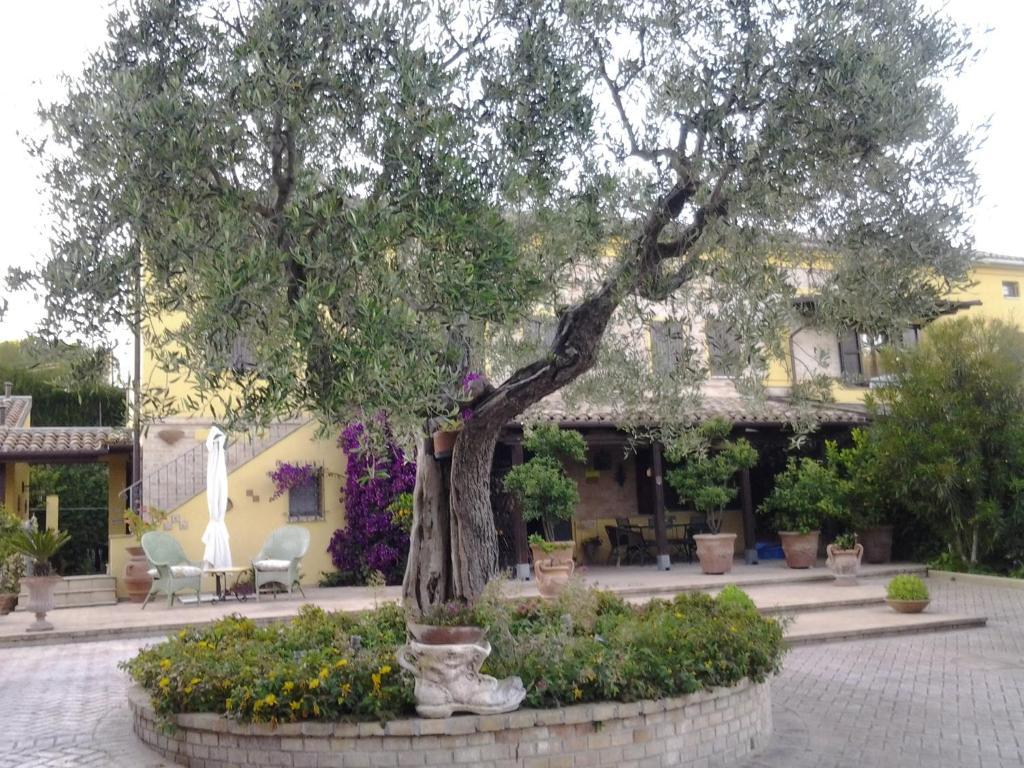 Il Giardino Dei Limoni Casa de hóspedes Montecassiano